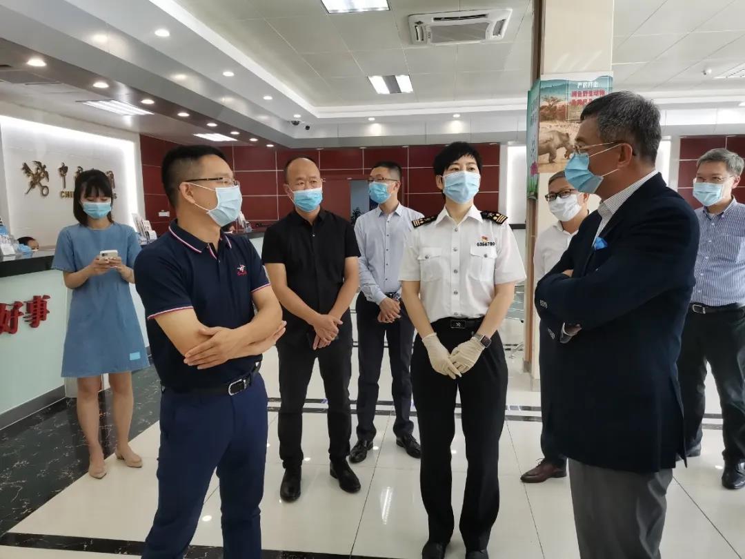 报关|运输|仓储